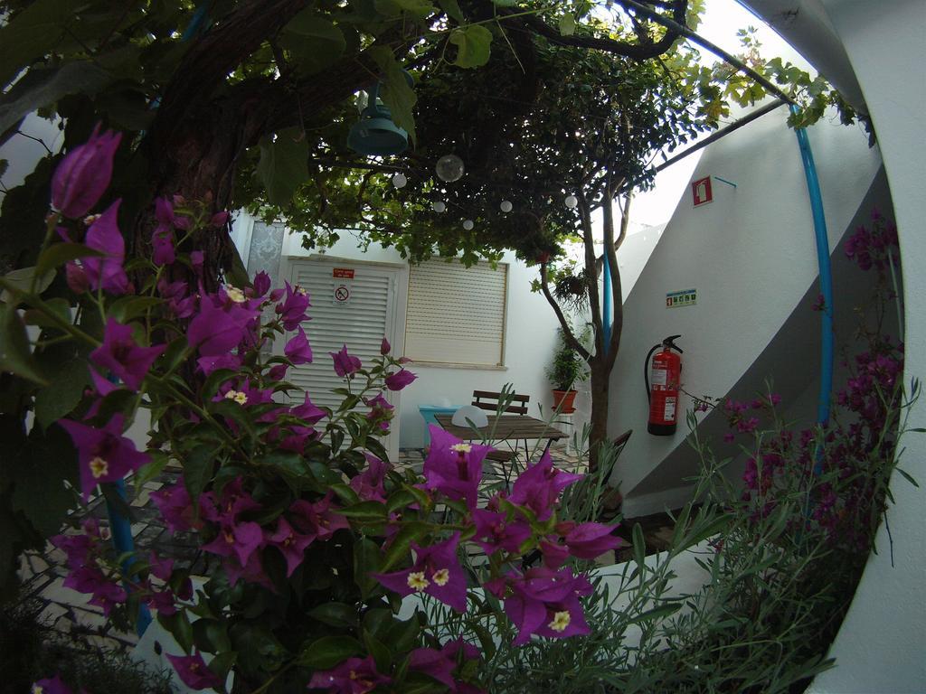 Ahoy Porto Covo Hostel Exteriér fotografie